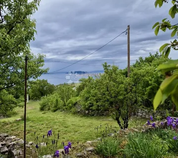 VIKENDICA U ZELENOJ OAZI - cover