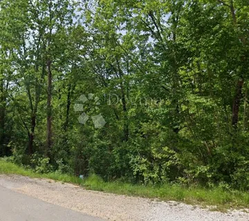INVESTICIJSKA PRILIKA – Šumsko zemljište između dvije pristupne ceste na lokaciji Gračišće - Batlug, Gračišće