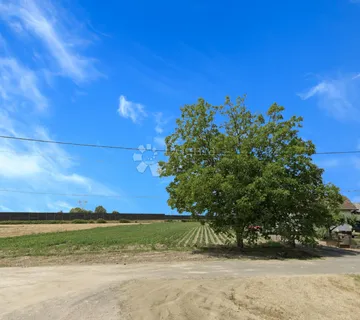 Zemljište Okešinac 7.111 m², građevinsko + poljopr. - Okešinec, Križ