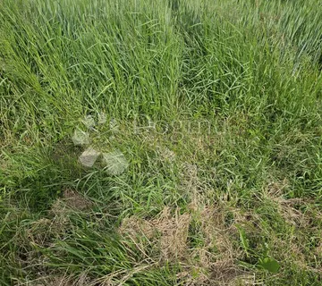 Predivna površina - Varaždin