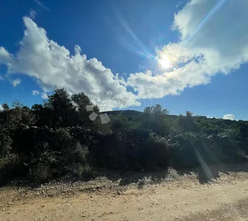 Maslinik kod Kraja, otok Pašman.