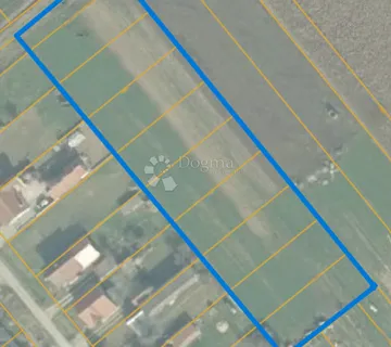 Bilje – zemljište za investitore, 6.385 m²