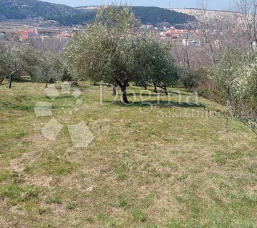 Građevinski teren površine 596m2. Lopar