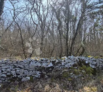 Poljoprivredno zemljište površine 23953 m2 sa ogromnim potencijalom - Glavani, Barban