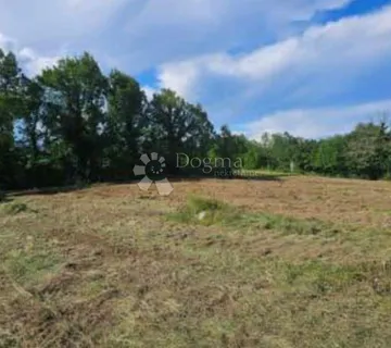 Prostrano Građevinsko Zemljište - 5100 M2 - Žminj
