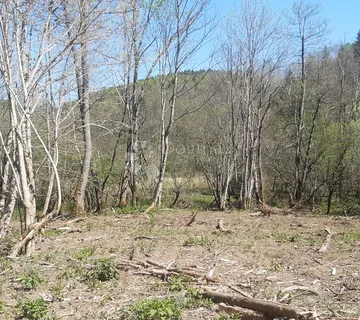 Pošumljeno zemljište kod Plaškog - Kunić, Plaški
