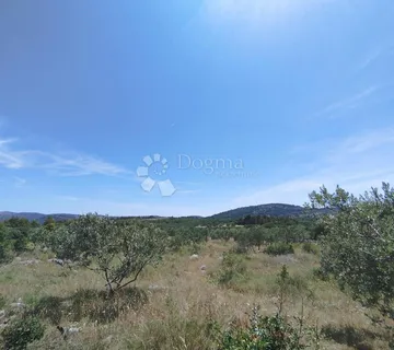 Poljoprivredno zemljište Marina -6000m2 - Gustirna, Marina