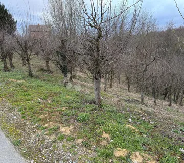 ZEMLJIŠTE U ČREŠNJEVU - cover