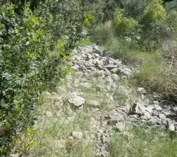 Prodaja Poljoprivrednog Zemljišta Makarska - Brist, Gradac