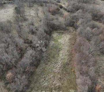 Izvor hrane i života za budućnost , u Manjadvorcima, 6700m2-poljoprivredno zemljište - Manjadvorci, Barban