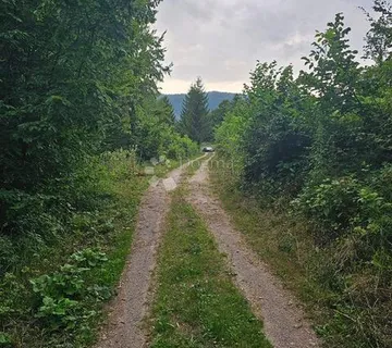 Vrbovsko, predivni tereni u šumskoj oazi - cover