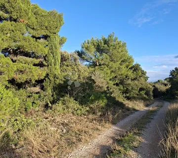 Poljoprivredno zemljište u Močićima sa pristupnim putem - Močići, Konavle
