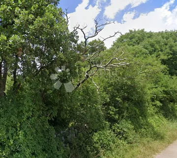 Šuma za sječu - Juršići, Svetvinčenat