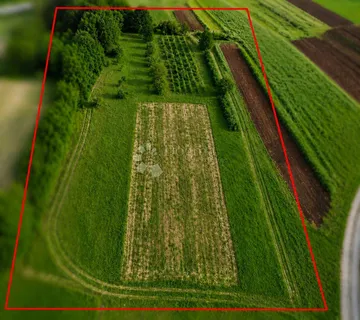 Građevinska parcela 625 m² – Manjadvorci - Manjadvorci, Barban