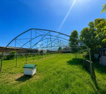 ORANICA 2.315 m² – SATNICA ĐAKOVAČKA - Selci Đakovački, Đakovo