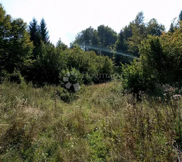 Delnice GORSKI KOTAR GRAĐEVINSKI teren 6900 M2 za 20 vikendica - cover