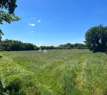 Poljoprivredno Zemljište u Muntiću: 3352 m² - cover