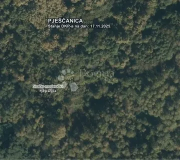 2 pošumljene oranice - Pješčanica, Gvozd