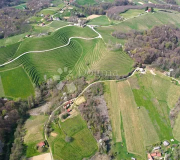Zemljište u Robadju - idealno za vinograd, voćnjak ili odmor u prirodi - Robadje, Štrigova