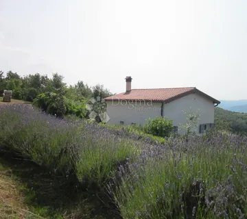 Grožnjan,mala kuća s divnim pogledom