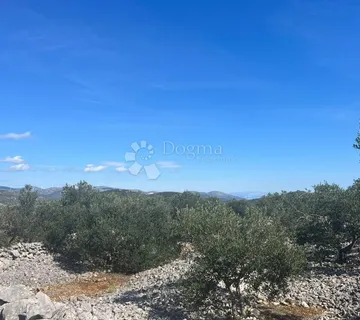 Poljoprivredno zemljište 9050 m2- Sevid - Sevid, Marina