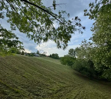 Vinica Breg – vinograd, šuma i gotovo 9.000 m² mira - Vinica Breg, Vinica