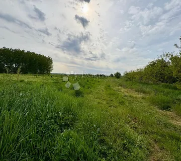 Zemljište 1280 m² idealno za gradnju ili investiciju - Darda