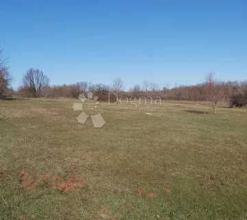 Oranica Šajini - Šajini, Barban