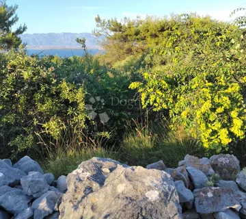 POLJOPRIVREDNO ZEMLJIŠTE 1360 m² – OTOK VIR (650 METARA OD MORA)