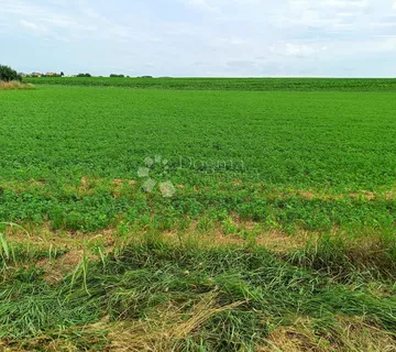 INVESTICIJSKA PRILIKA! Građevinsko zemljište 8.505 m² u Borovu – idealno za solarne panele! - Borovo
