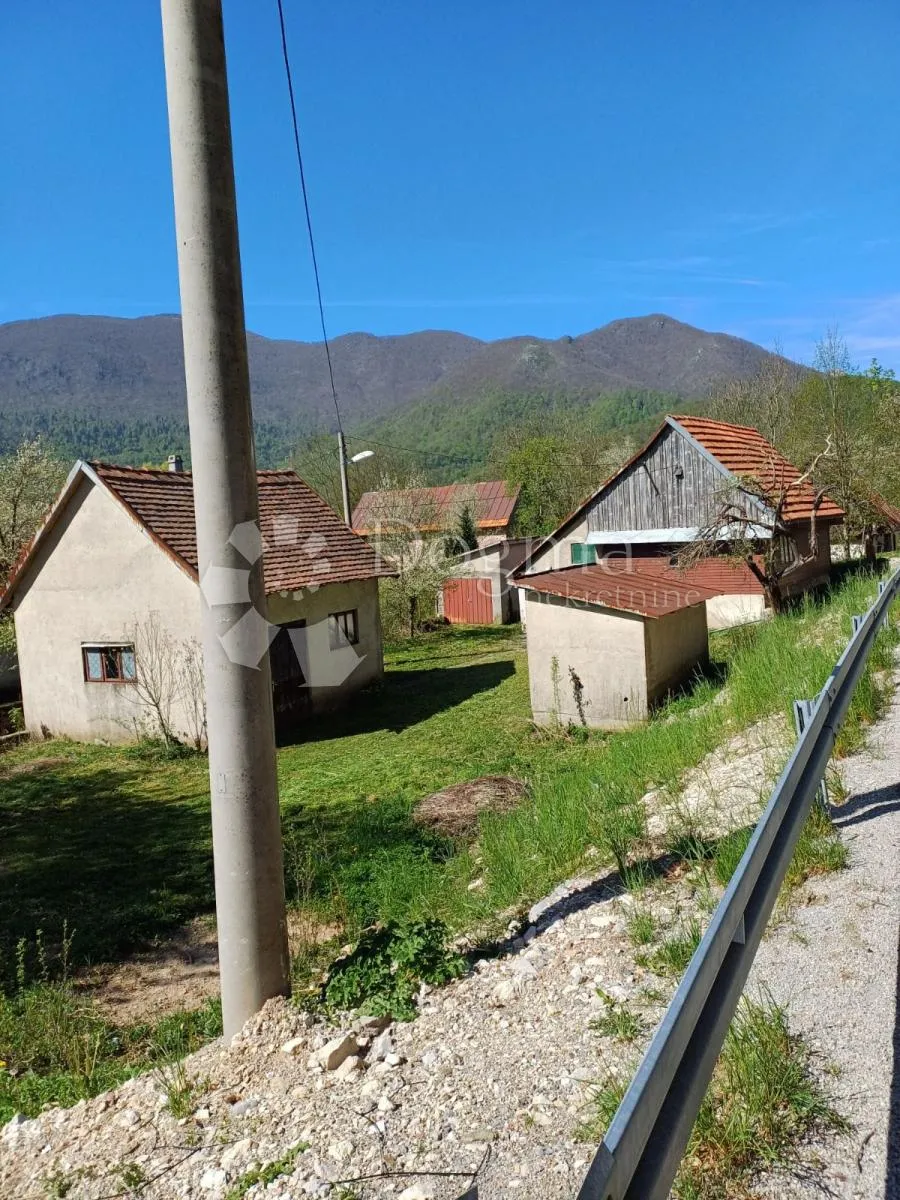 Fotografija