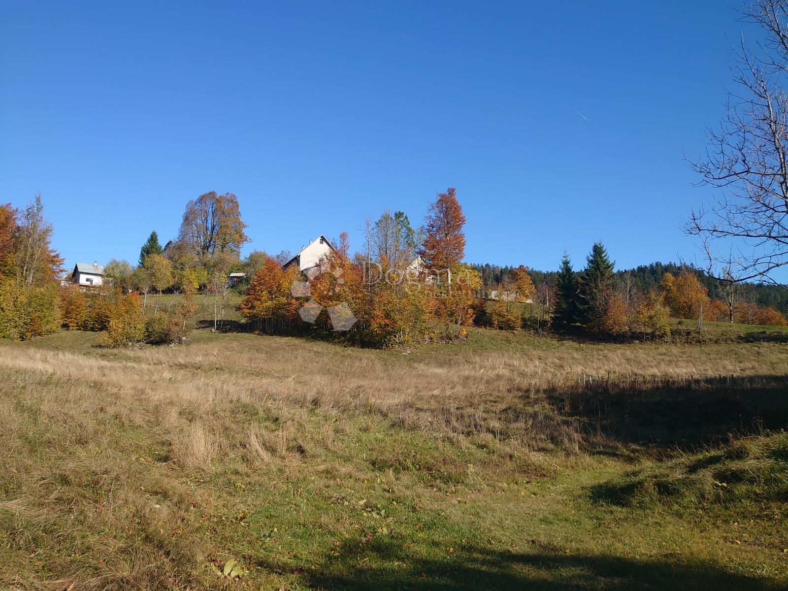 Fotografija