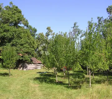 PRODAJA ZEMLJIŠTA-RUDOPOLJE BRUVANJSKO-58.188m² - cover