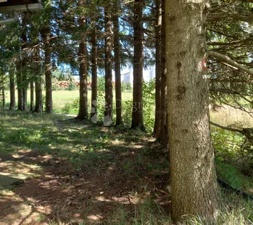 Ravna Gora, gospodarski objekt  - cover