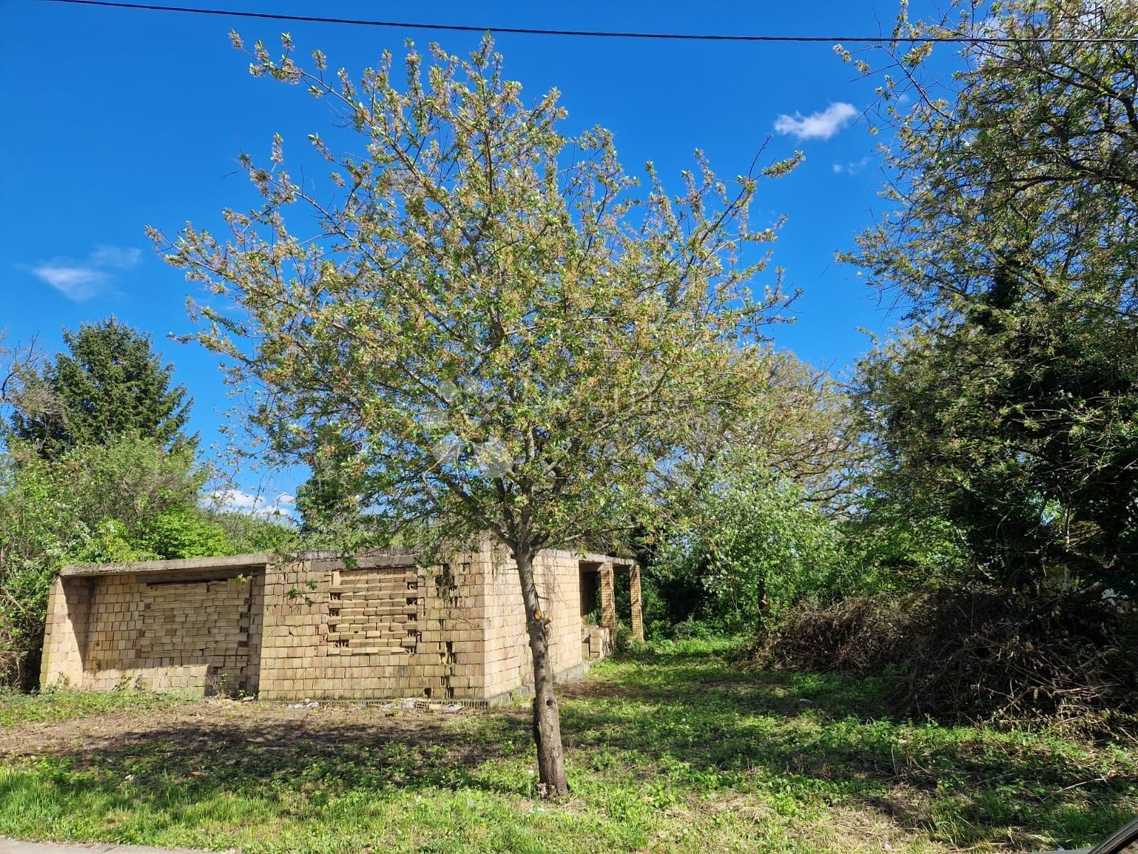 Fotografija