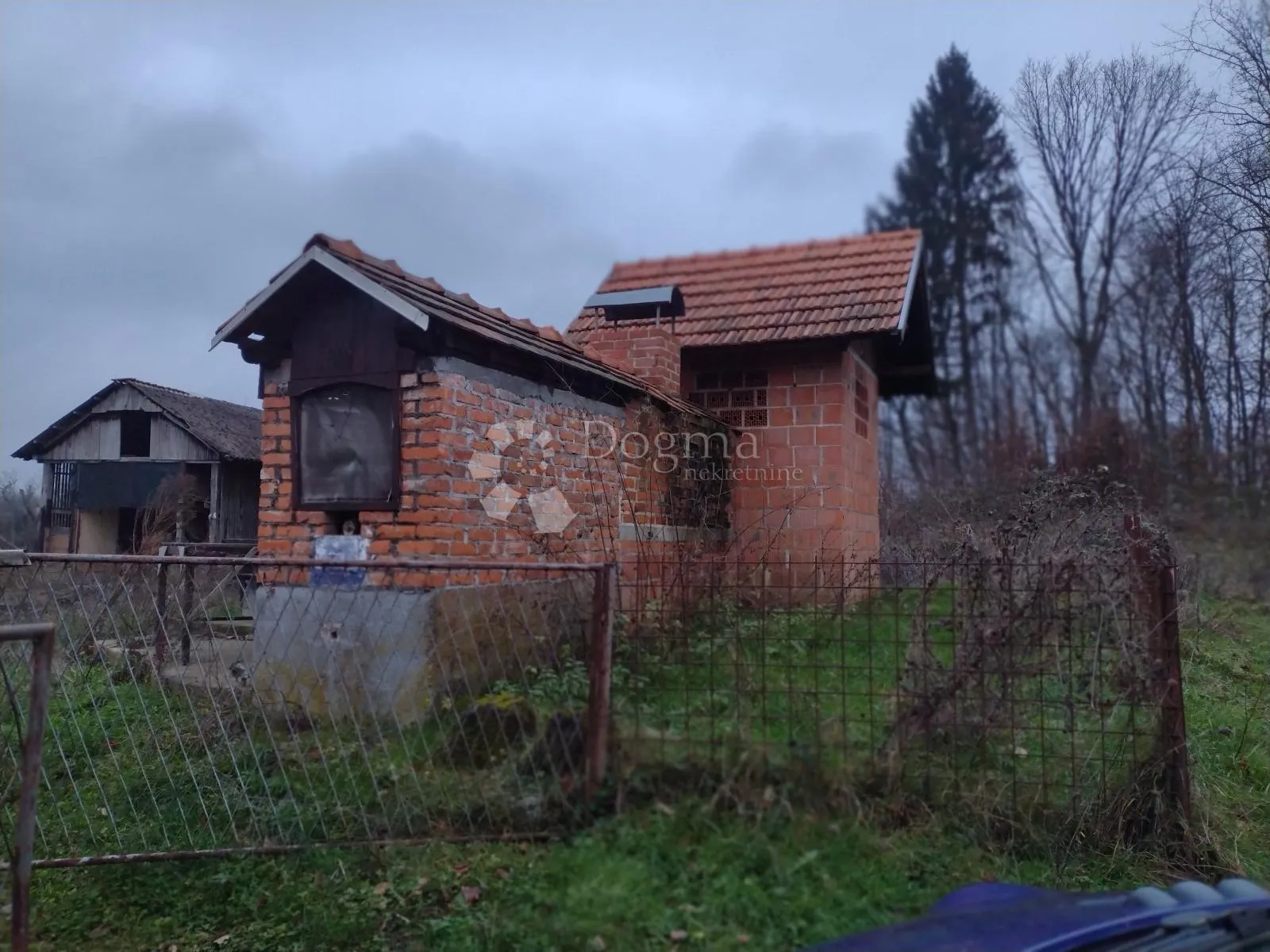 Fotografija