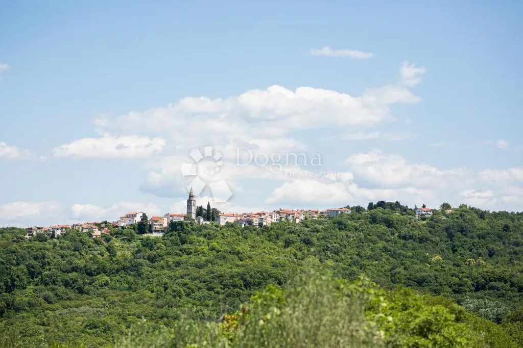 Fotografija