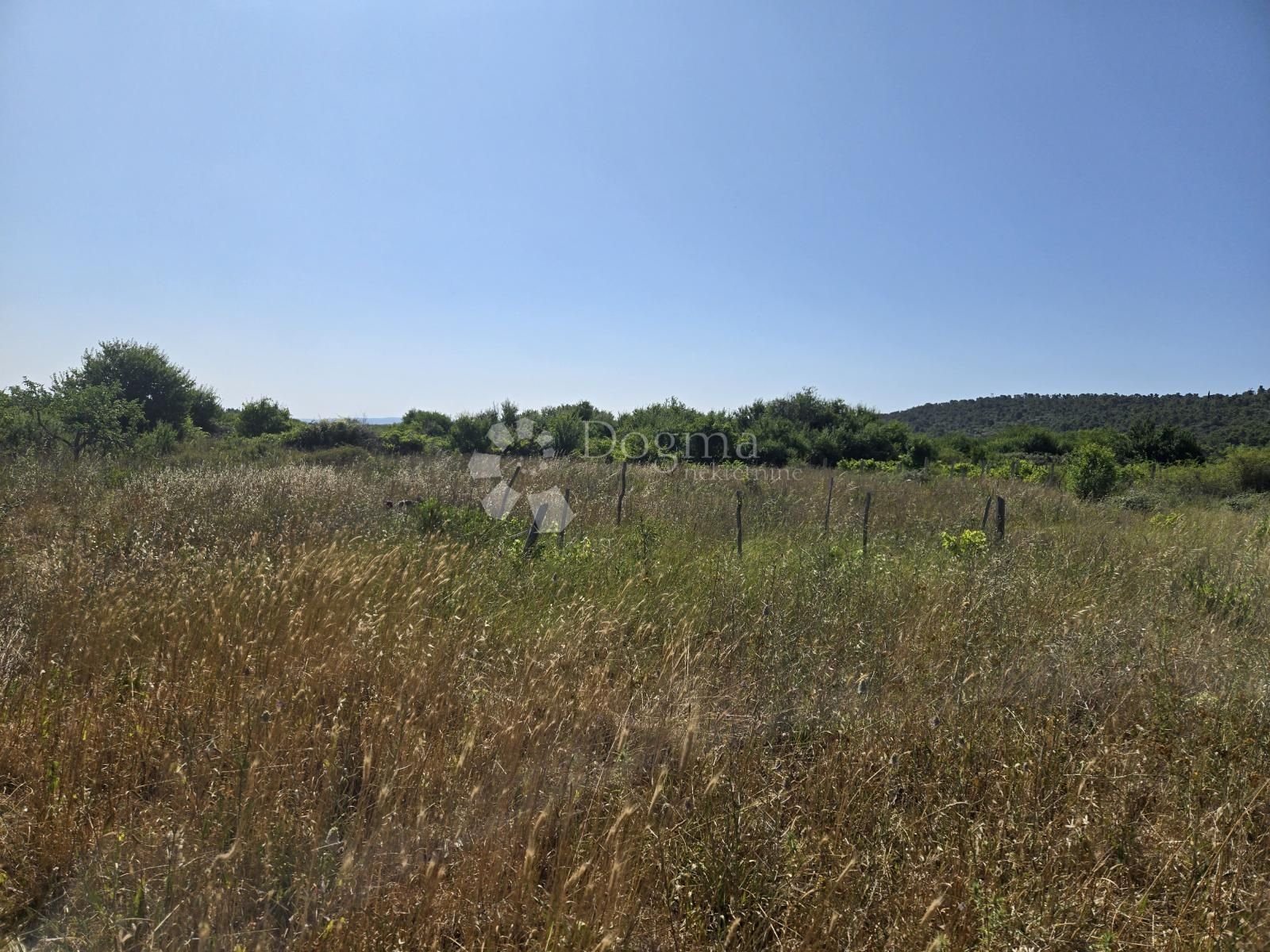Fotografija