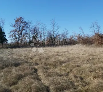 Poljoprivredno zemljište Šajini - cover