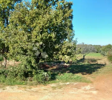 Prostrana građevinska parcela s pogledom na more u mirnom susjedstvu - cover