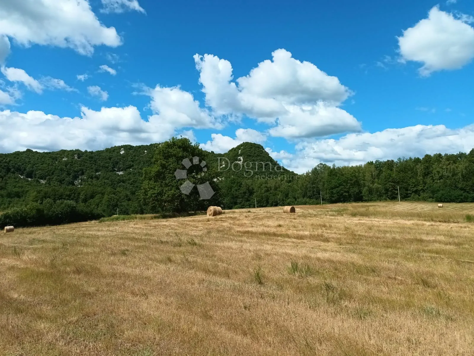 Fotografija