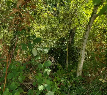 Poljoprivredno zemljište 40km od Zg - cover