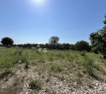 POREČ OKOLICA, ZEMLJIŠTE ZA GRADNJU STANOVA SA POGLEDOM NA MORE - cover