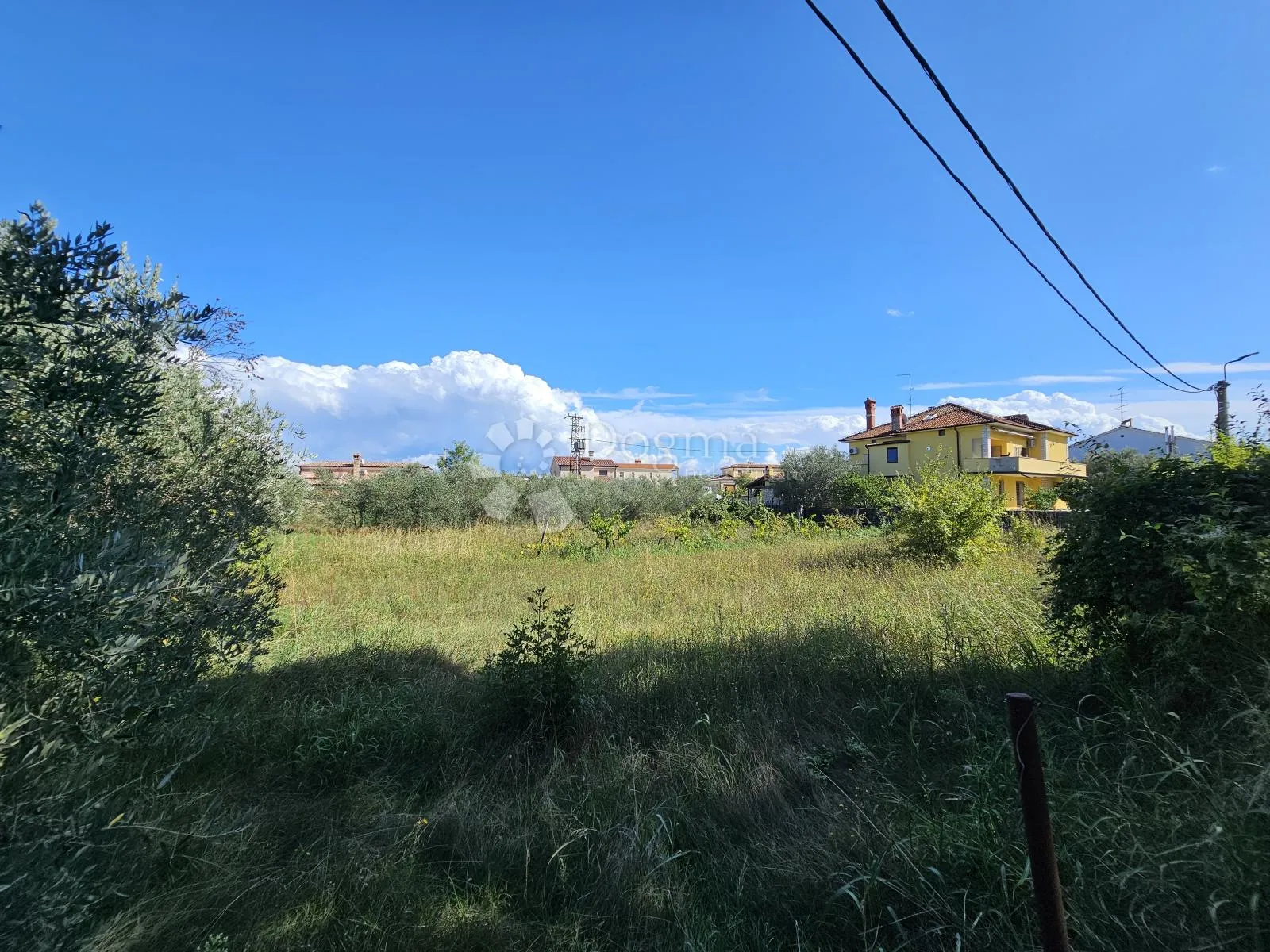 Fotografija