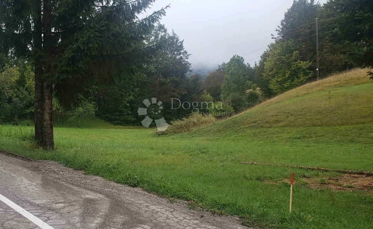 Fotografija