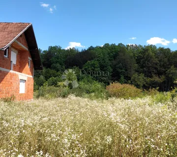 Bez neposrednih susjeda, uz potok - cover