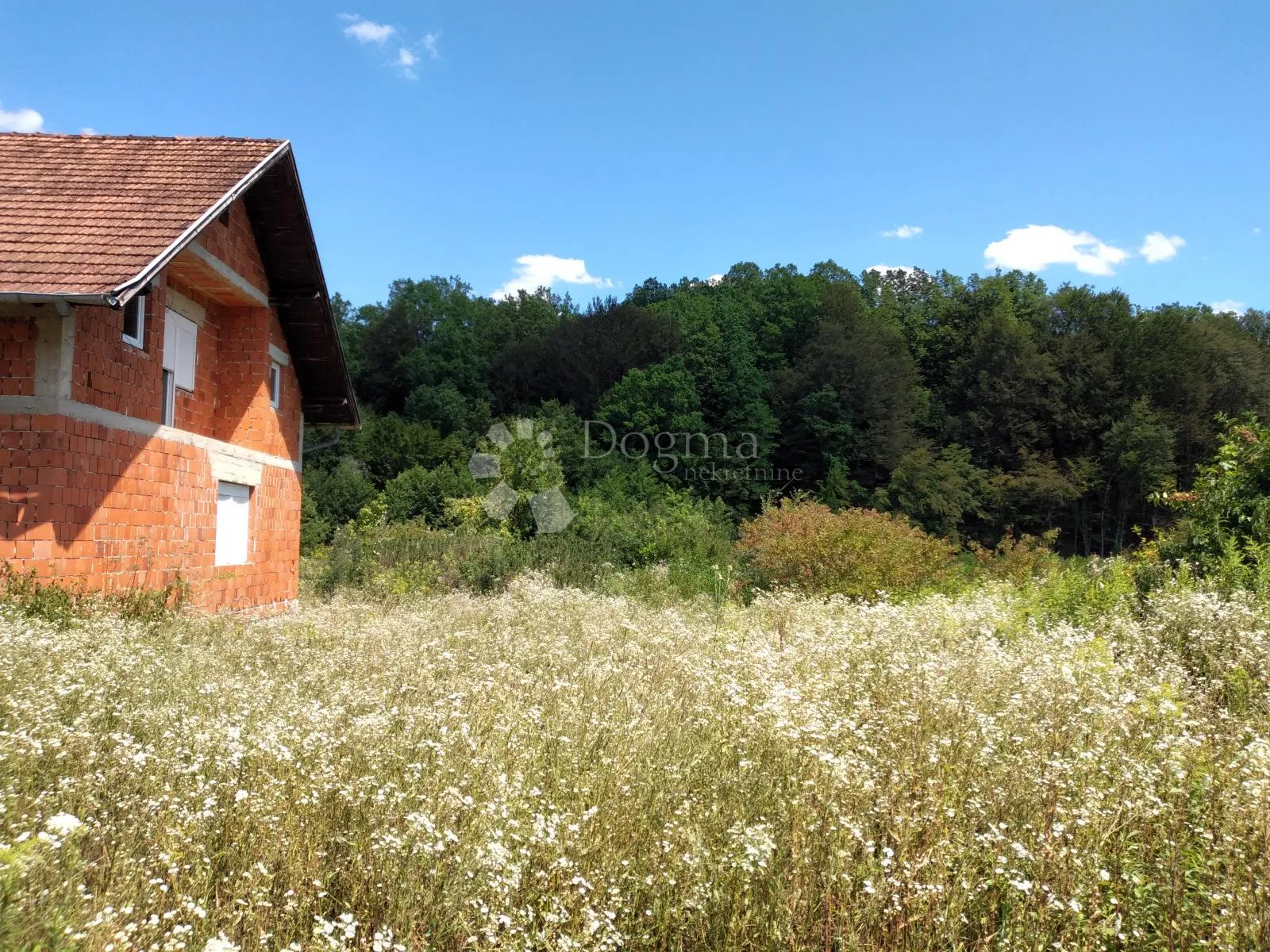 Fotografija