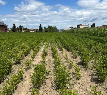 Velika građevinska parcela – idealna lokacija za gradnju! - cover