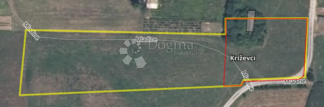 Fotografija