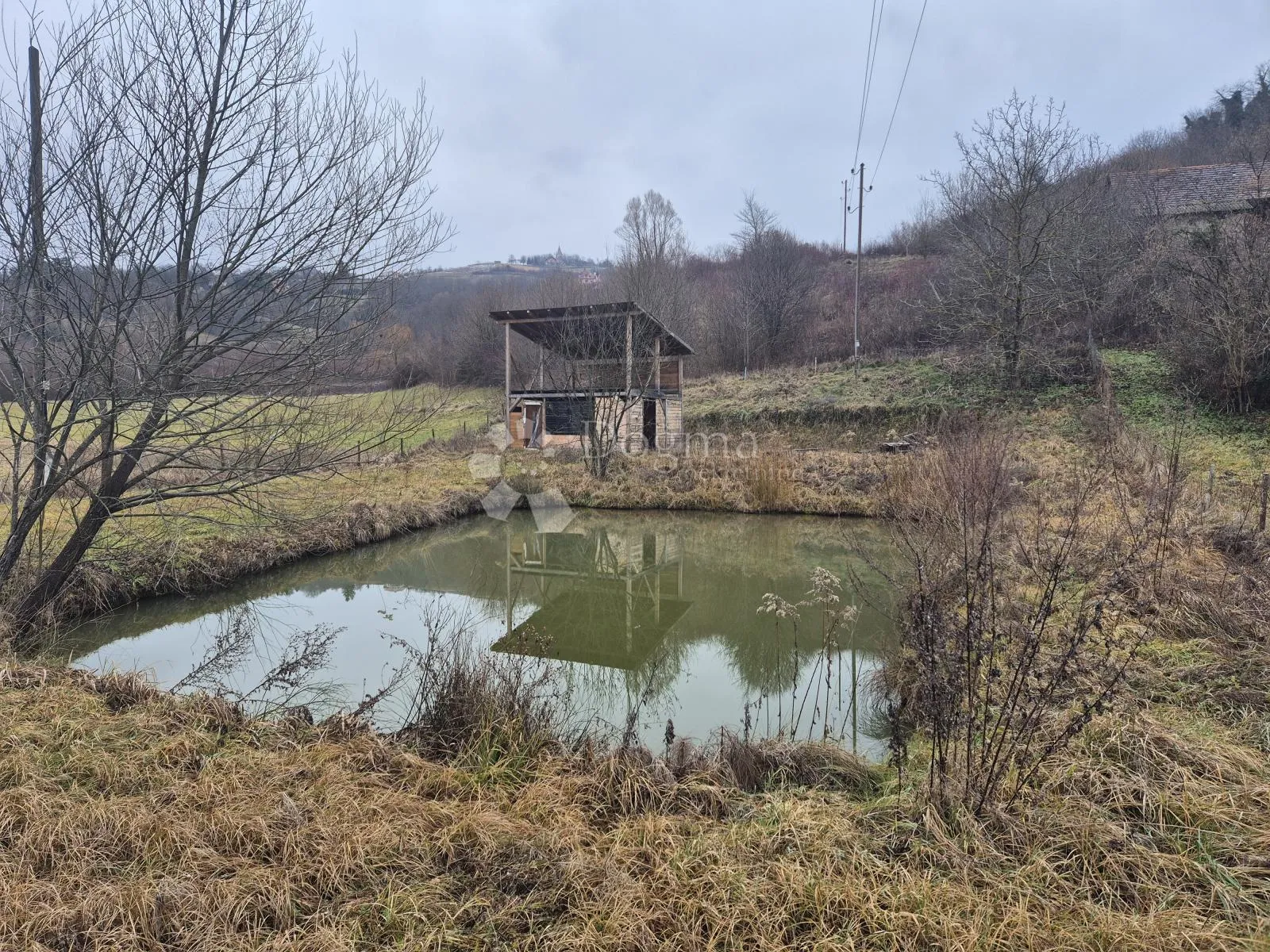 Fotografija